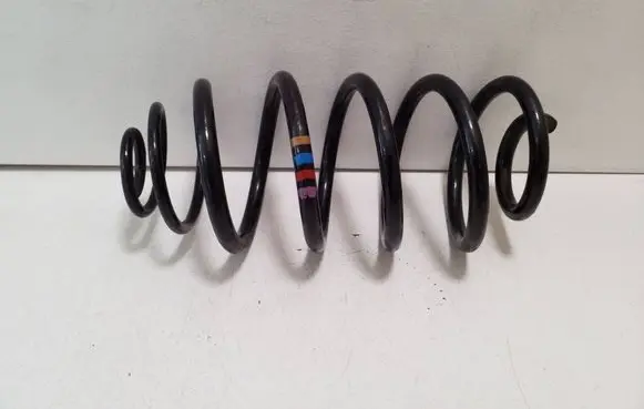 Peugeot Expert Rear coil spring 