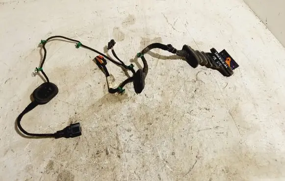 Volkswagen Touran I Front door wiring loom 1T0971121L