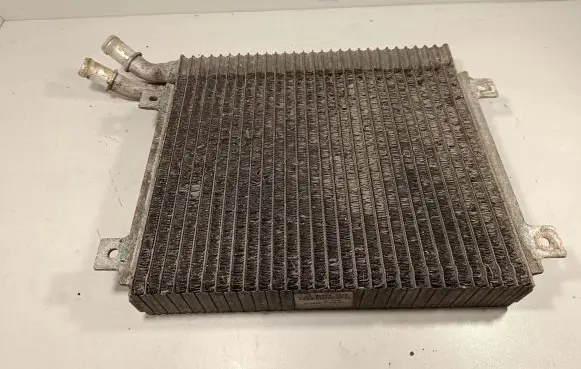 Jaguar XF X250 Coolant radiator 9X238D048AE
