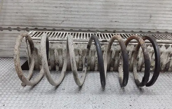 Mitsubishi Pajero Rear coil spring