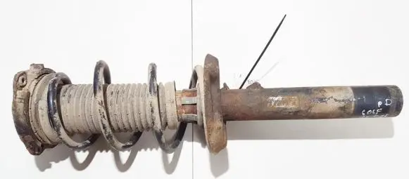 Volkswagen Golf V Front shock absorber/damper 1k0413031be