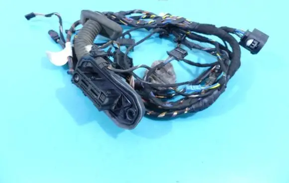 BMW X5 E70 Front door wiring loom 924207001 IMPRK1253492
