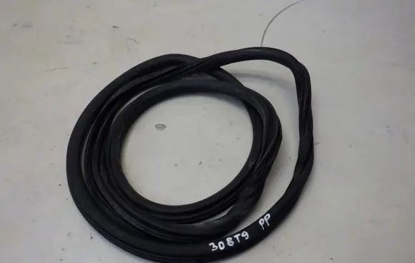 Peugeot 308 Front door rubber seal