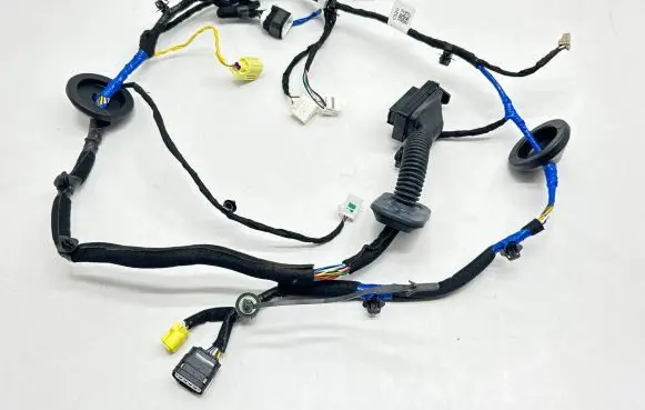 KIA EV6 Rear door wiring loom 91615CV200