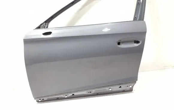 Cupra Formentor Front door 5FF831311