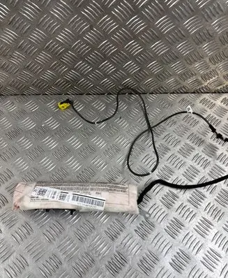 Volkswagen Tiguan Seat airbag 5N0880242F