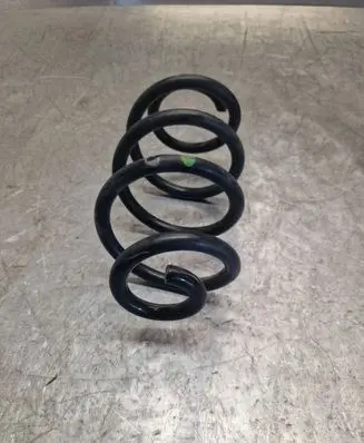 Rear coil spring