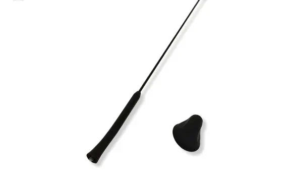 Ford Ecosport Radio antenna AV1T18828AA