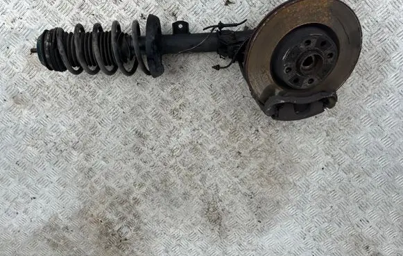 Fiat Punto (199) Front wheel hub spindle knuckle