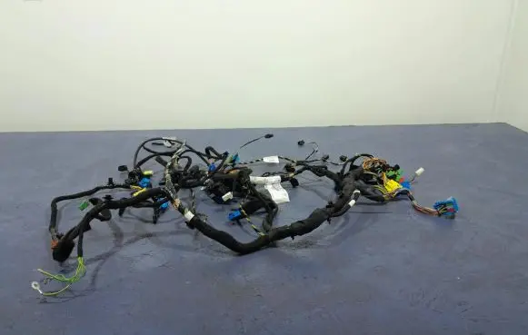 Citroen C4 II Other wiring loom