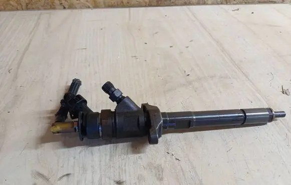 Citroen C4 I Fuel injector 0445110297