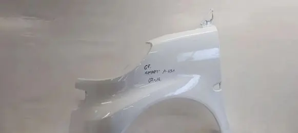 Smart ForTwo II Fender A4518810101