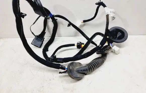 KIA Niro Rear door wiring loom 91620Q4020