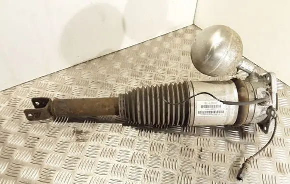Volkswagen Phaeton Rear shock absorber/damper 3D0616001K