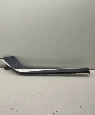 Other rear door trim element
