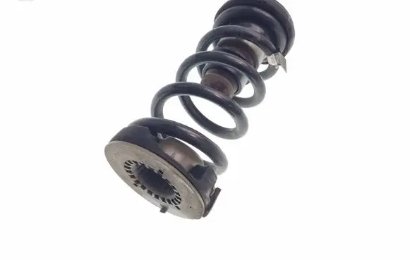 Chrysler Pacifica Rear coil spring P68231026AA 1026AA 68231026AA