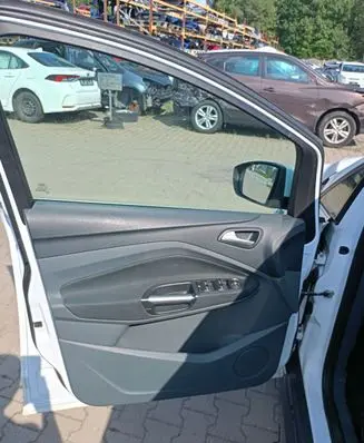 Ford C-MAX I Rear door card trim 