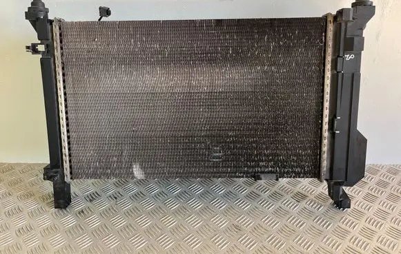 Mercedes-Benz B W245 Coolant radiator A1695000604