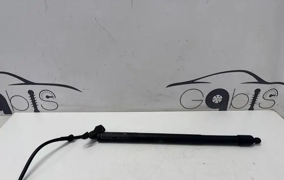 Tailgate strut