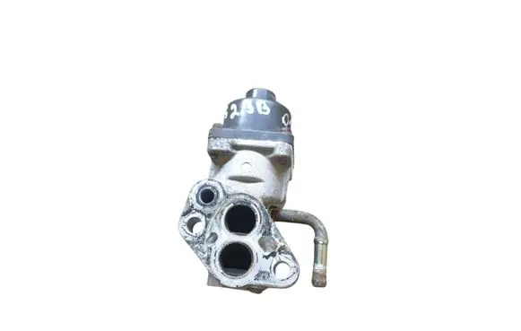 Ford Focus EGR valve