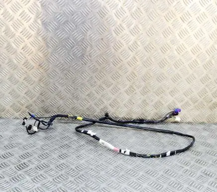 Tesla Model 3 Other wiring loom 106878700E