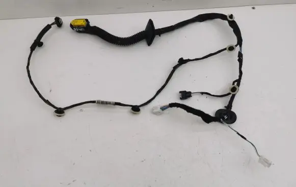 Rear door wiring loom