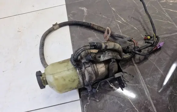 Electric power steering pump