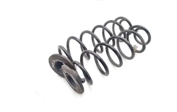 Rear coil spring