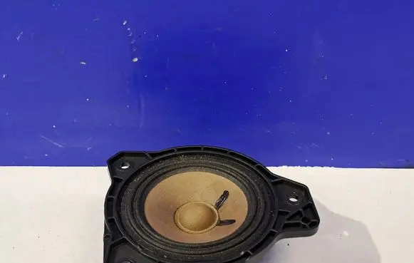 Polestar 2 Panel speaker 31456870