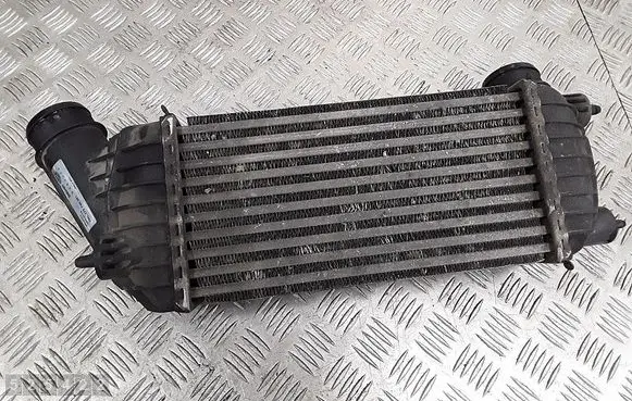 Peugeot Expert Intercooler radiator 99000038 0384J9