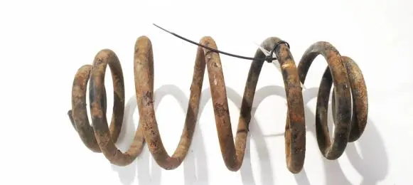 Rear coil spring