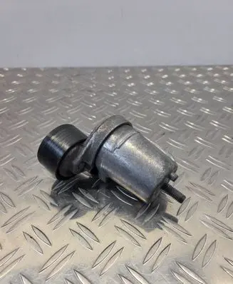 BMW X1 E84 Generator/alternator belt tensioner 0403550123