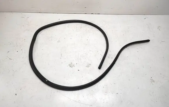 BMW X1 E84 Front door rubber seal 7171837