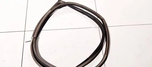 Mitsubishi Grandis Rubber seal front coupe door 