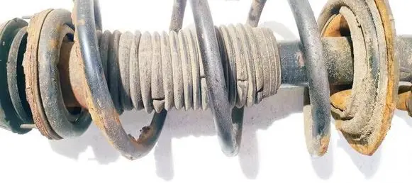 Front coil spring