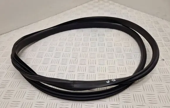 Renault Captur Front door rubber seal