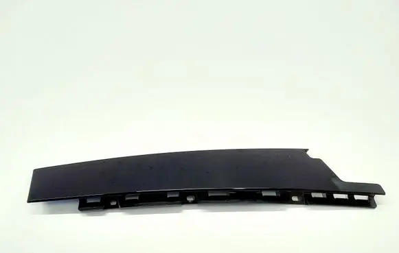 Front door trim (molding)