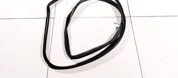 Infiniti QX50 (J50) Rubber seal front coupe door 