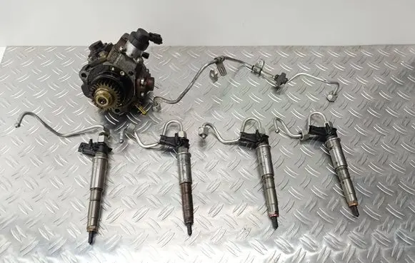 Renault Laguna III Fuel injection system set 0445115007 080105