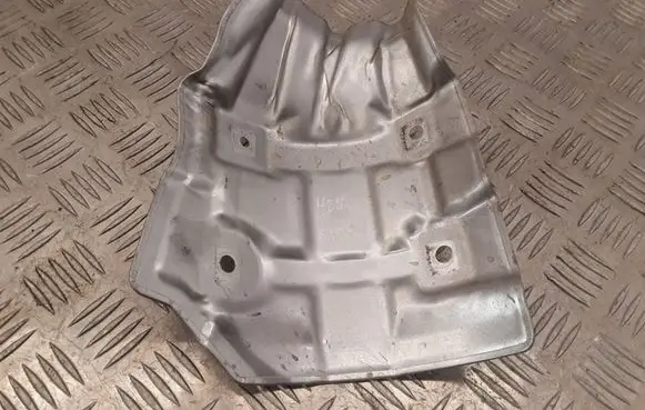 Exhaust heat shield