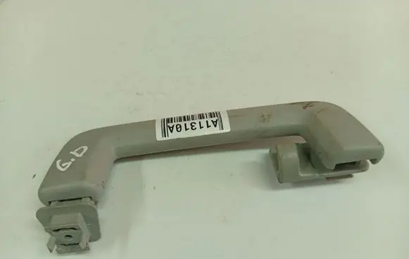 Ford Focus Rear interior roof grab handle