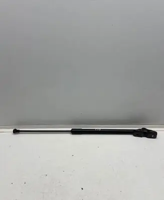 Tailgate strut