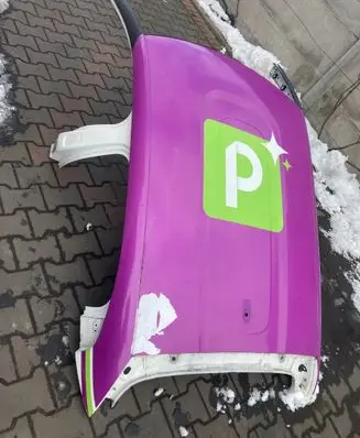 Citroen C3 Roof 