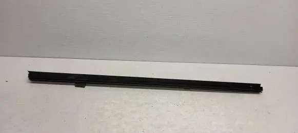 Ford Ecosport Rubber seal front door window/glass GN16N20570AB 130122095332 39941
