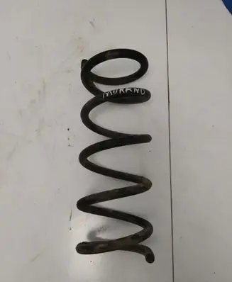 Rear coil spring