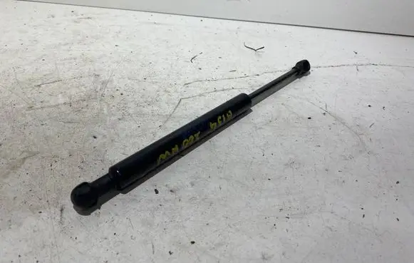 Land Rover Range Rover L322 Front bonnet/hood damper/strut XH4216E610AA