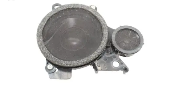 Lexus LS 460 - 600H Panel speaker 