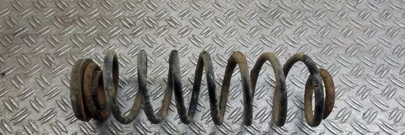 Rear coil spring