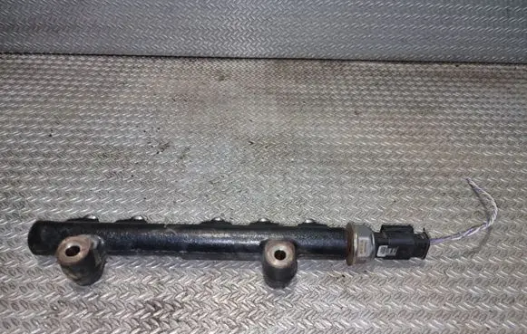 Peugeot Partner Fuel main line pipe 968529758002