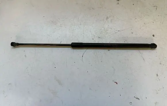 Tailgate/trunk strut/damper